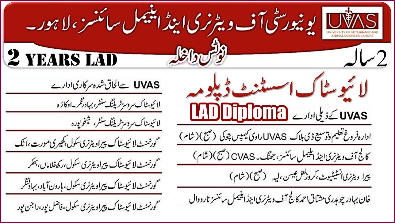 What is LAD? Scope of Livestock Assistant Diploma in Pakistan, Subjects, Pay, Eligibility