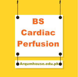 What is Cardiac Perfusion? Scope of BS Cardiac Perfusion in Pakistan