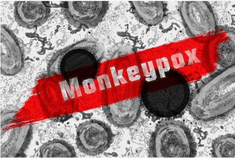 Monkeypox Guide in English & Urdu, Symptoms, Vaccine, Treatment, Causes, Precautions
