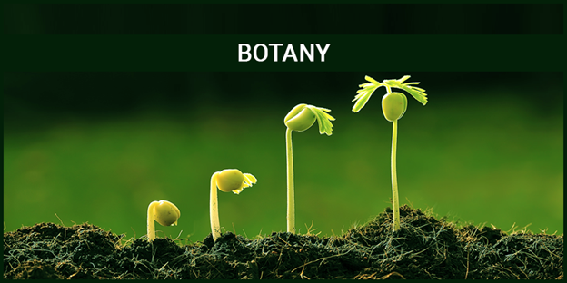 research topics in botany in pakistan