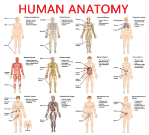 Scope Of Anatomy In Pakistan