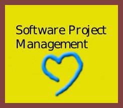 Scope of Software Project Management in Pakistan