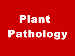 Plant Pathology