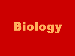 Biology 