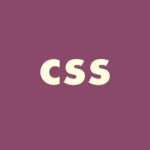 CSS Exam